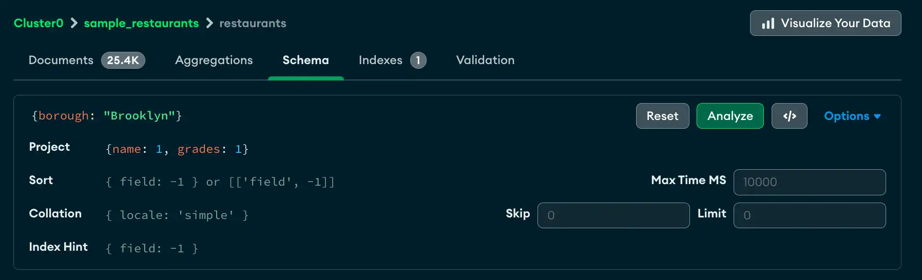 Query bar schema view